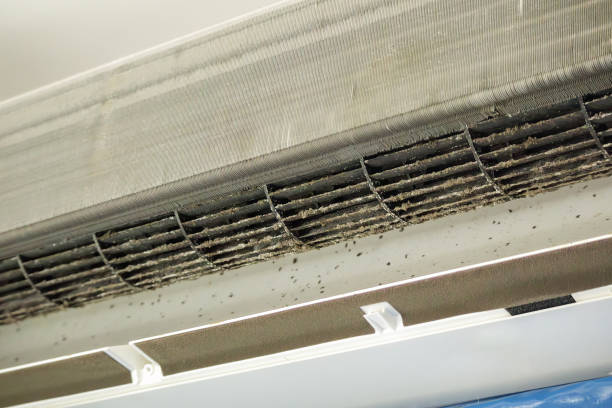 Best Home Air Vent Cleaning  in Los Ranchos, CA